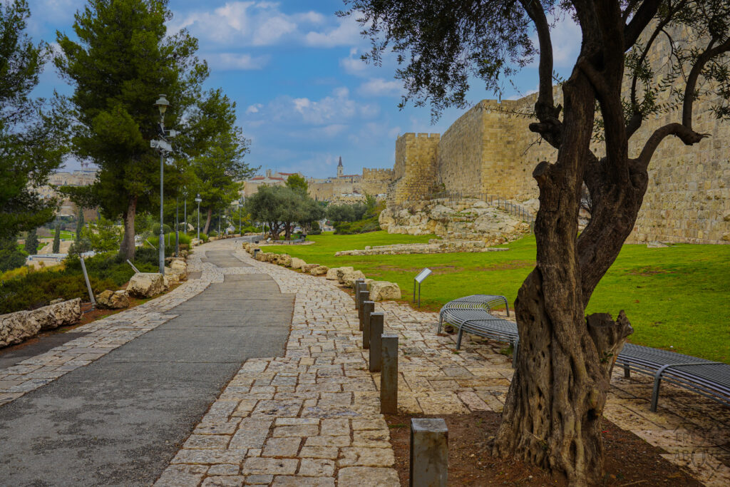 Jerusalem Wall & Fin